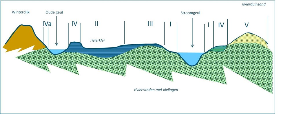 Groeiplaatstypen Het Kennisnetwerk Ontwikkeling En Beheer Natuurkwaliteit Obn 7416