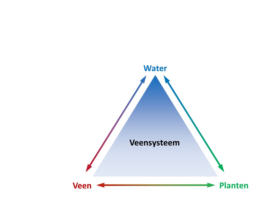 Algemeen Het Kennisnetwerk Ontwikkeling En Beheer Natuurkwaliteit Obn 6912